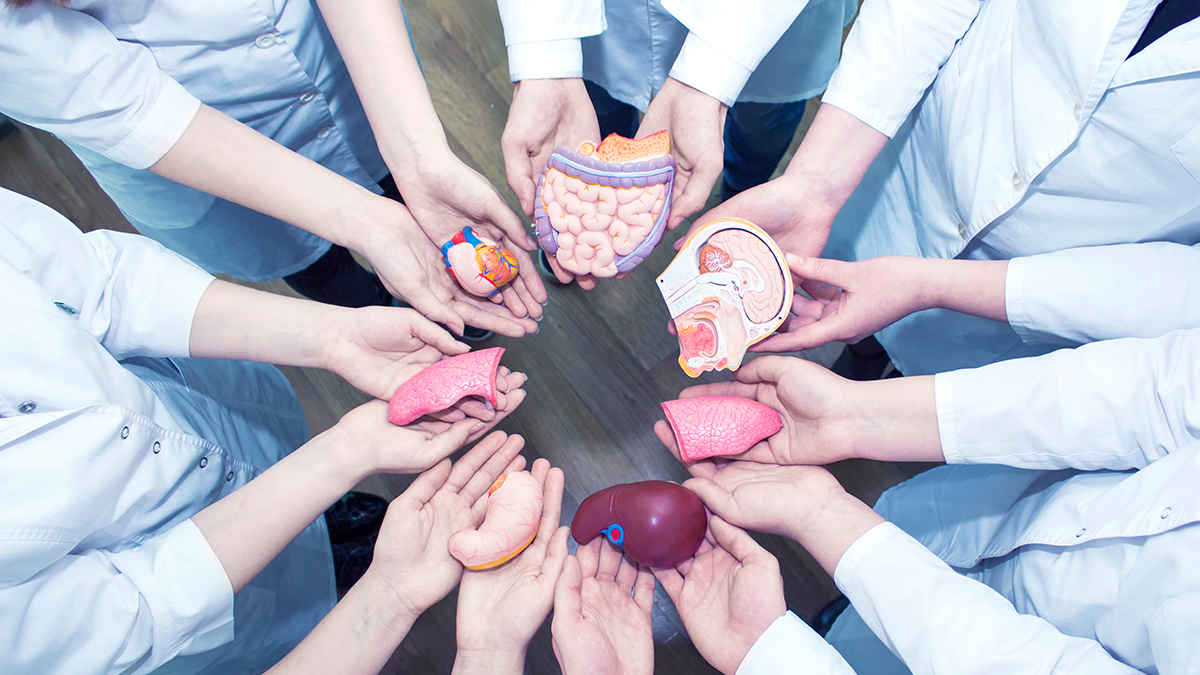 Organ Donation in North Texas