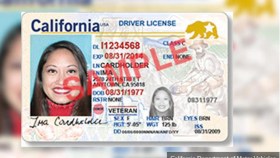 Colorado: ¿Licencias para indocumentados?