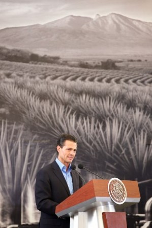 El vocero presidencial, Eduardo Sánchez, volvió a negar recientemente que Peña Nieto esté enfermo. Foto tomada el 16 de junio de 2014 en México.
