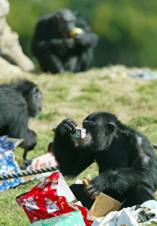 Ahora cuenta con una gran diversidad de animales.