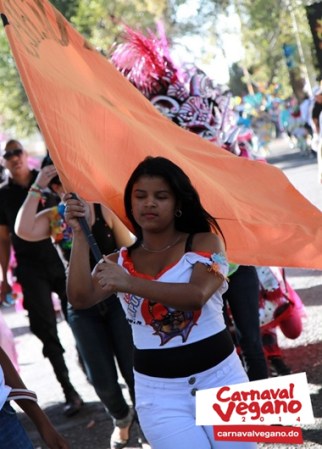 Imágenes del Carnaval Vegano 2014 desde la Vega, República Dominicana.