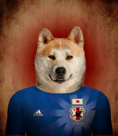 Akita Inu / Japón