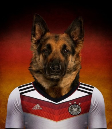 Pastor Alemán / Alemania