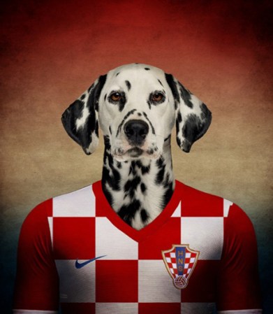 Dálmata / Croacia