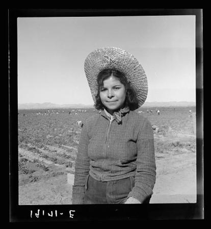 Joven mexicana que recoge los guisantes para el mercado oriental. Imperial Valley, California.