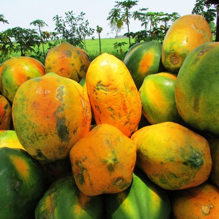 Rica en múltiples vitaminas y minerales, nos da vitalidad, promueve la buena digestión y mejora nuestras defensas contra el resfriado y otras enfermedades. Además, promueve el buen funcionamiento de los músculos.