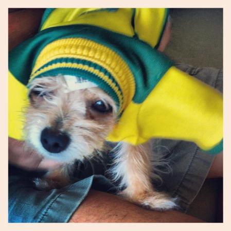 A paco ya no le queda su camiseta de Brasil