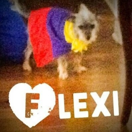 Flexi listo pa el partido