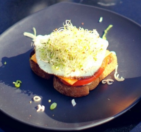Pavo y queso con jitomate y germinado de alfalfa sobre un pan tostado.