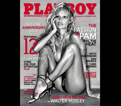 La portada del año 2007 es para muchos la mejor que Pamela Anderson ha hecho para Playboy. Fue creación del reconocido fotógrafo Sante D'Orazio.