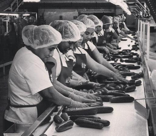 La fotógrafa Norma Harper muestra a las mujeres trabajadores en una fábrica de pepinos en el norte.
