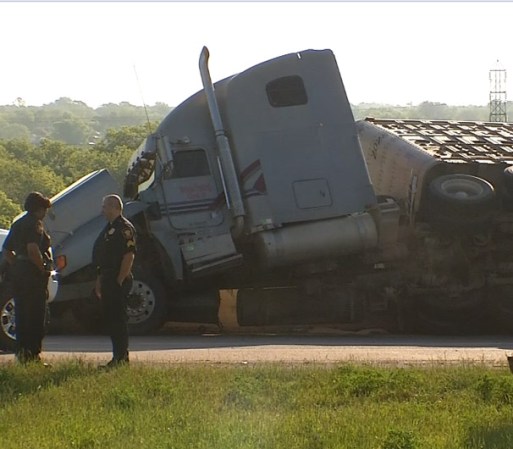 Un tráiler que contenía 95 vacas se volcó y las autoridades confirmaron la muerte de 12 animales.