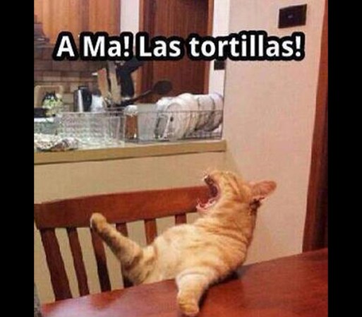 No hay nada peor que se acaben las tortillas a la hora de la comida.