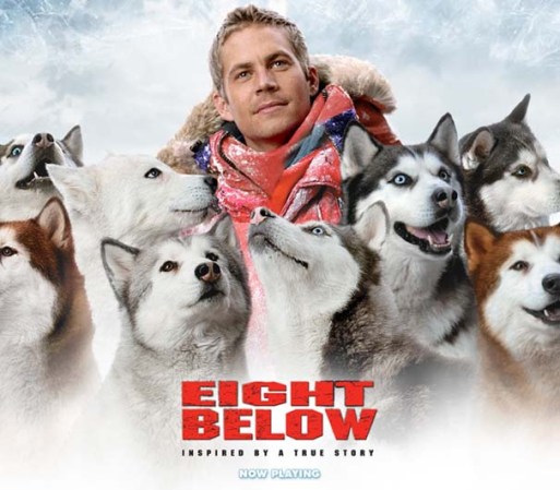 El legado de Paul Walker en películas.