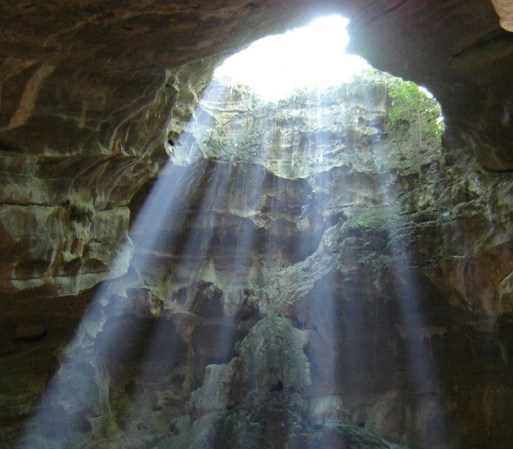 Y tal como salieron en filita, estas aves regresan a su cueva justo al atardecer. Más puntuales que un reloj.