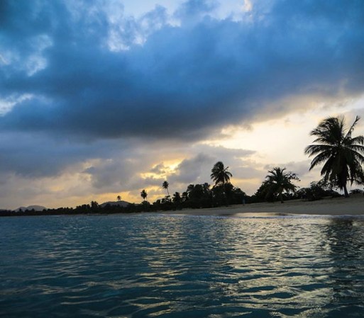 El balneario Sun Bay es la playa más conocida de Vieques. Arena blanca, agua azul turquesa y verdes palmeras, decoran la playa y la hacen perfecta para todos los que buscan un bello paisaje natural.
