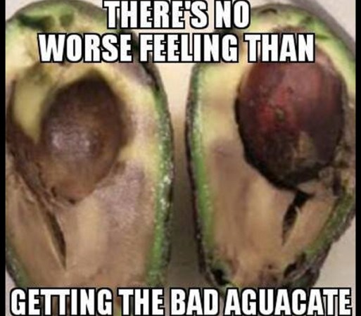 O la tragedia de cuando te saboreas unas quesadillas con aguacate y el aguacate esta malo!!!.