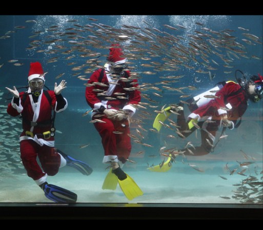 SEOUL, SURCOREA - En Corea Santa también se sumerge bajo el agua.