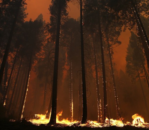 Un trágico e histórico incendio amenaza a Yosemite, un tesoro natural de la nación.
