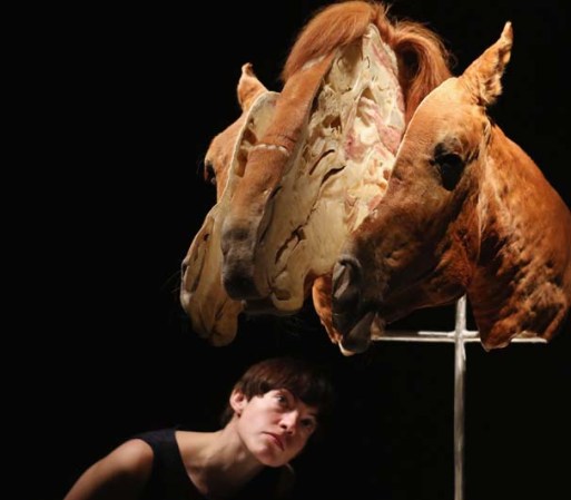 El Museo de Historia Naturla de Londres presentó esta impactante exhibición.