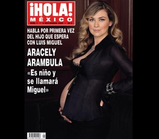 Su belleza ha engalanado la portada de muchas revistas, pero destaca su colaboración con la revista "¡Hola!", a quien les dio la exclusiva de su embarazo con Luis Miguel.