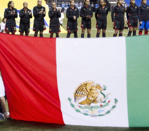 En el centro de la franja blanca se encuentra El Escudo Nacional de México y consiste en un águila mexicana posando sobre un nopal y devorando una serpiente.