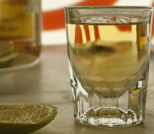 Las bebidas alcohólicas no sólo darán un malestar a tu mascota sino también pueden afectar su hígado.<br />Fuente: pets.webmed.com