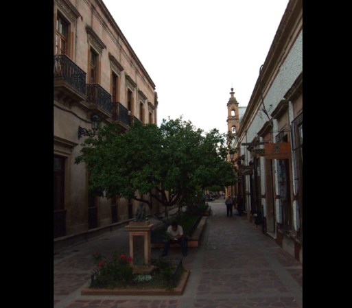 El centro histórico de Lagos de Moreno y uno de sus puentes, fueron declarados Patrimonio cultural de la Humanidad por la Unesco.