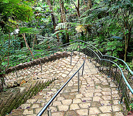 ¿Eres de los amantes de la naturaleza? El Parque eco-turístico La Marquesa te propone pasar un día al aire libre, observando las exóticas especies animales y vegetales. Puedes recorrerlo a pie, en trolley o en teleférico.