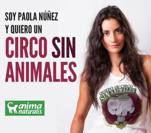 Se considera una amante y protectora de los animales.