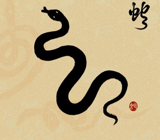 El 2013 es el año de la Serpiente según el Horóscopo Chino ¡Mira qué celebrities disfrutarán de un año muy especial!