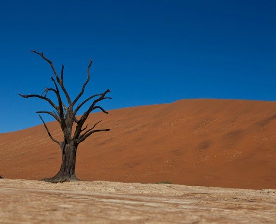 Dead Vlei, Namibia.- Lo llaman el "Valle Muerto" y su título es bien ganado: los árboles perecen en una zona desértica y salada, de las más altas del mundo.