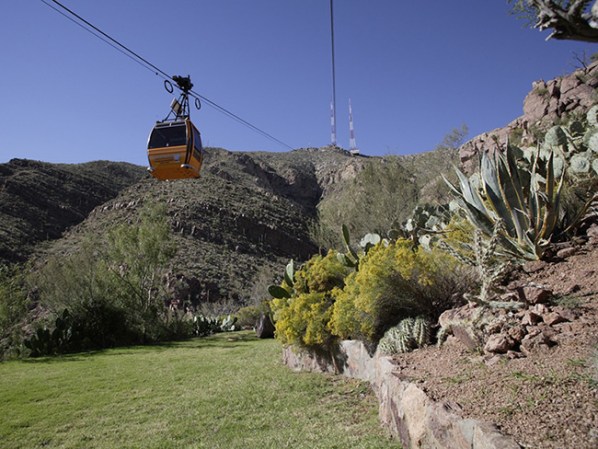 Sin importar el mes del año, las montañas ofrecen una vista espectacular de la ciudad; en algunos puntos, podrás incluso divisar El Paso y Ciudad Juarez.