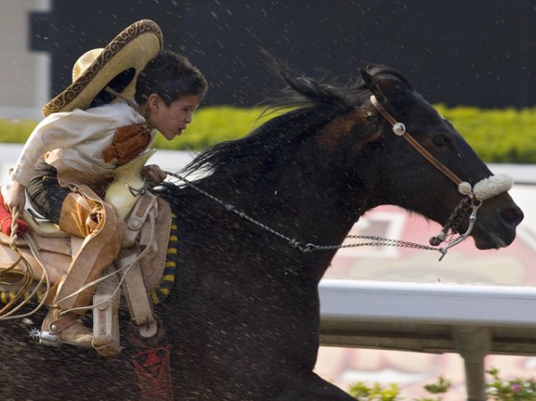 La charrería se organizó después de la Revolución Méxicana.
