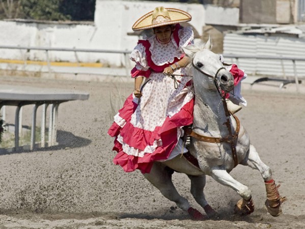 Las mujeres también pueden participar en la categoría llamada la escaramuza charra.