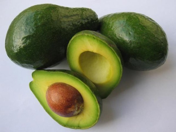 Los aguacates han sido asociados con la sexualidad por la forma como cuelgan en los árboles así como su textura.