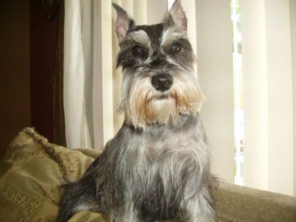 Lola