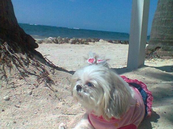 Key West Vacations 2012!! me llamo april