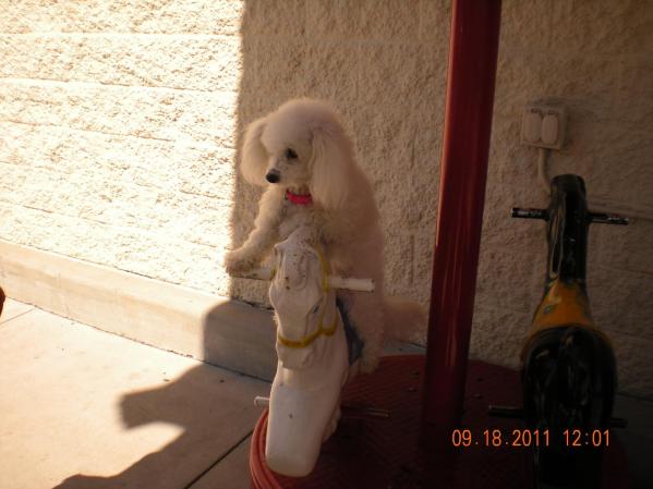 nena