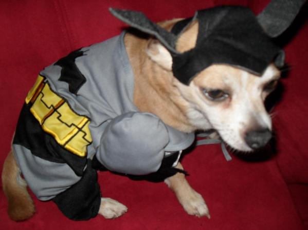 BRANDY EN HALLOWEEN. <br /> ¿Quieres compartir fotos como estas? Hazlo aquí <br />