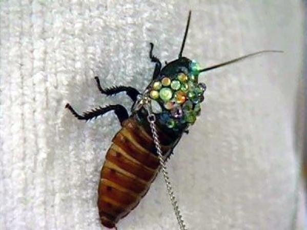 Un diseñador de Salt Lake City, en Utah, se ha inventado un broche que a la vez es una cucaracha.