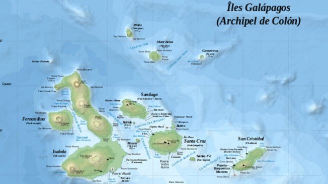 Presión de Camerún tiene a Australia contra las cuerdas