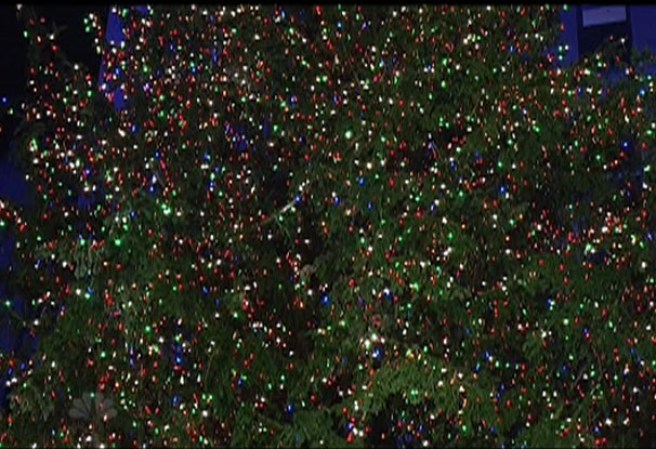 Varios artistas, acompañados de miles de espectadores, se dieron cita en Nueva York para iniciar oficialmente la navidad, tras encender el árbol navideño en la Plaza Rockefeller.