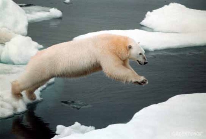 Las Capas Polares, Antártica.<br /><br />Esta no es novedad, ya que el hielo ártico se ha diluido 3% por año desde 1970. Según estudios, el hielo dejara de formarse en antártica de 20 a 40 años.