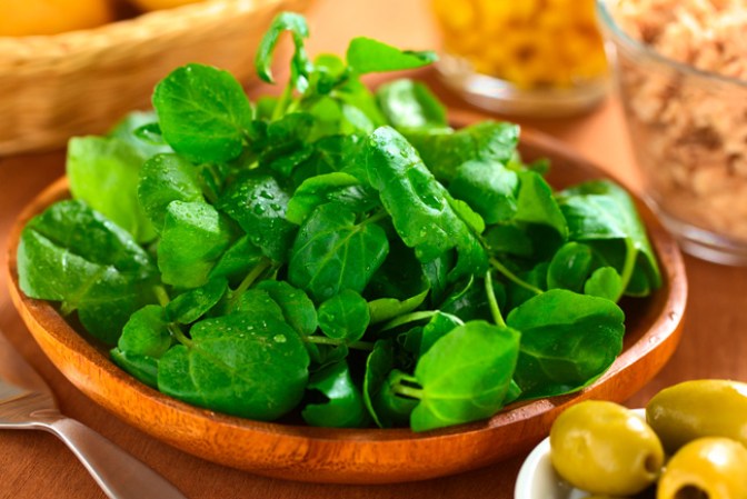 Los vegetales verdes tienen una amplia gama de nutrientes. Acompañar tus alimentos con una ensalada o comer solo una ensalada es excelente para tu salud.
