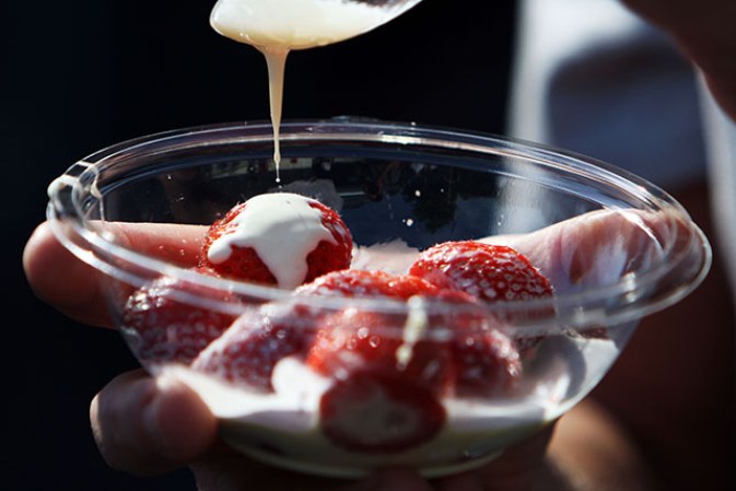 Los frutos rojos o berries, deben lavarse muy bien antes de consumirse. Ellos son responsables de haber causado al menos 25 brotes y 3,397 enfermedades. La mayoría de ellas fueron causadas por un infección, provocada por Cyclospora, un parásito que ataca a los intestinos y la víctima sufre deshidratación, diarrea severa y calambres en el estómago. Se requieren de antibióticos para tratarla.