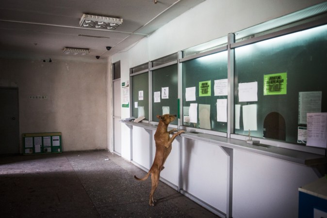 DEBALTSEVE, UKRAINE : Un perro espera en la ventanilla de un banco antes del inicio de reparto de donaciones de los rebeldes rusos.