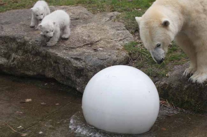 Los inquilinos más tiernos del zoológico.