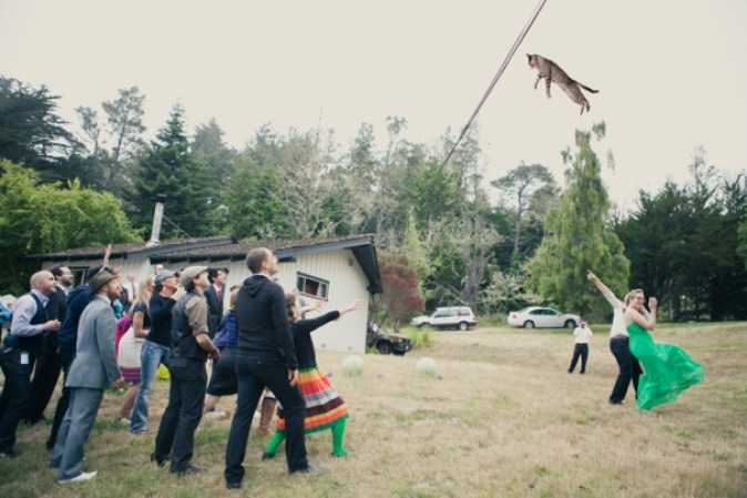 El sitio Brides Throwing Cats colecciona imágenes que muestran a novias aventando gatos en lugar de flores. Las imágenes han sido alteradas usando Photoshop. ¡No se preocupe!