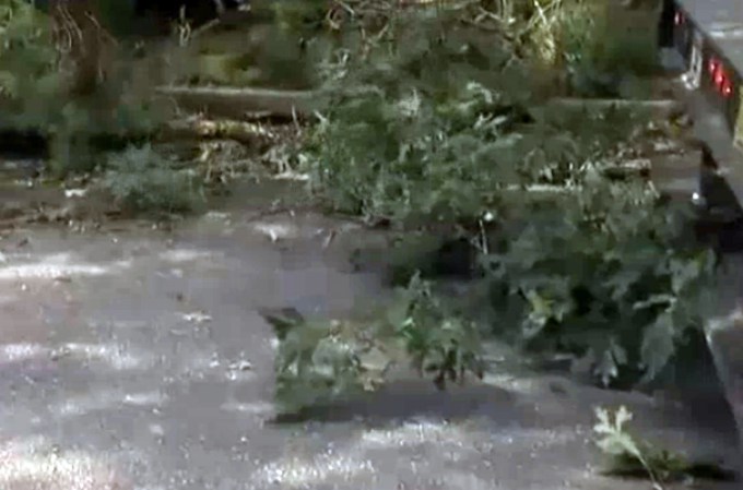 14 DE AGOSTO, 2013: Una serie de tormentas deja gran destrucción en Nueva Jersey.